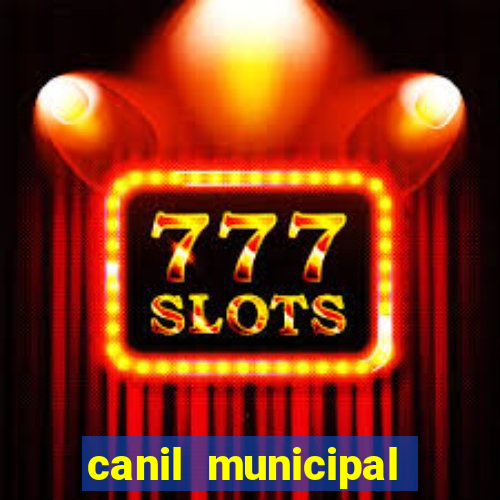 canil municipal porto alegre